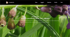 Desktop Screenshot of lampascione.it
